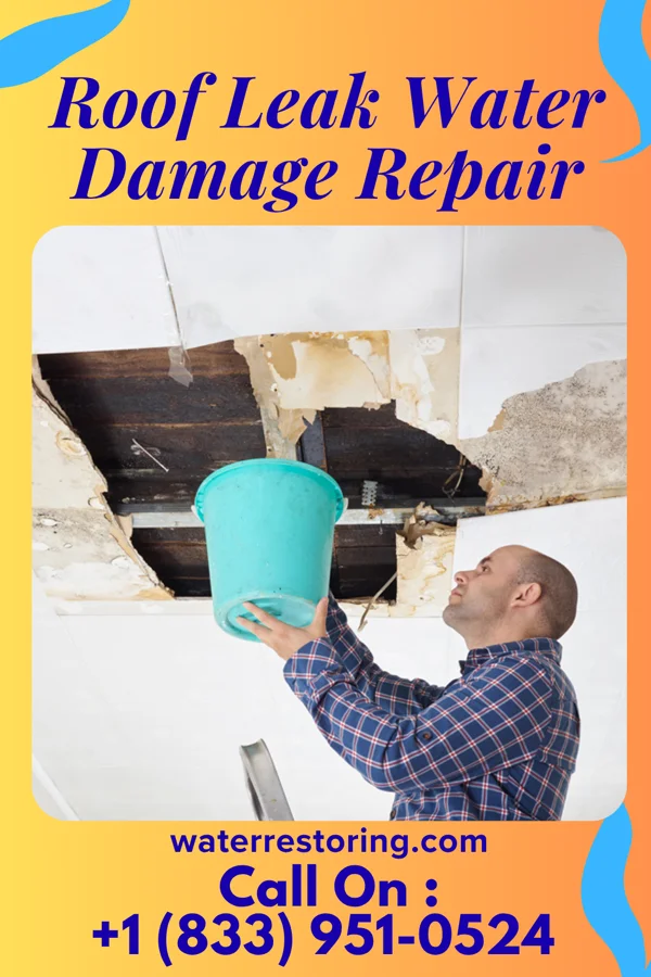Roof Leak Water Damage Repair in Reardan, WA